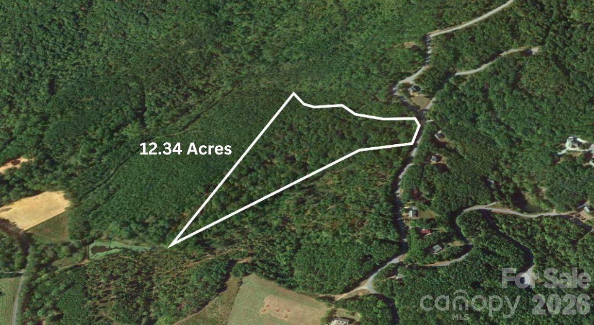 0 Arbra Mountain Road Bostic, NC 28018 - Photo 4 of 15