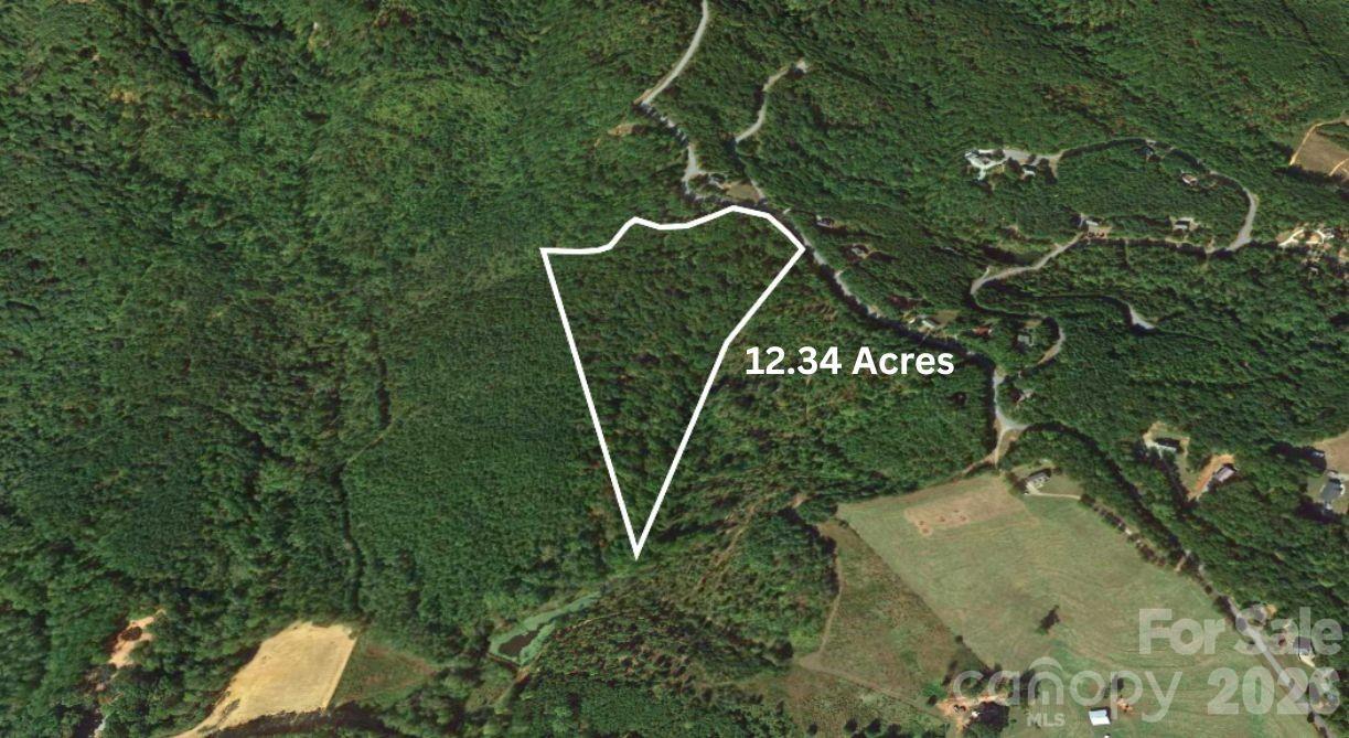 0 Arbra Mountain Road Bostic, NC 28018 - Photo 6 of 15