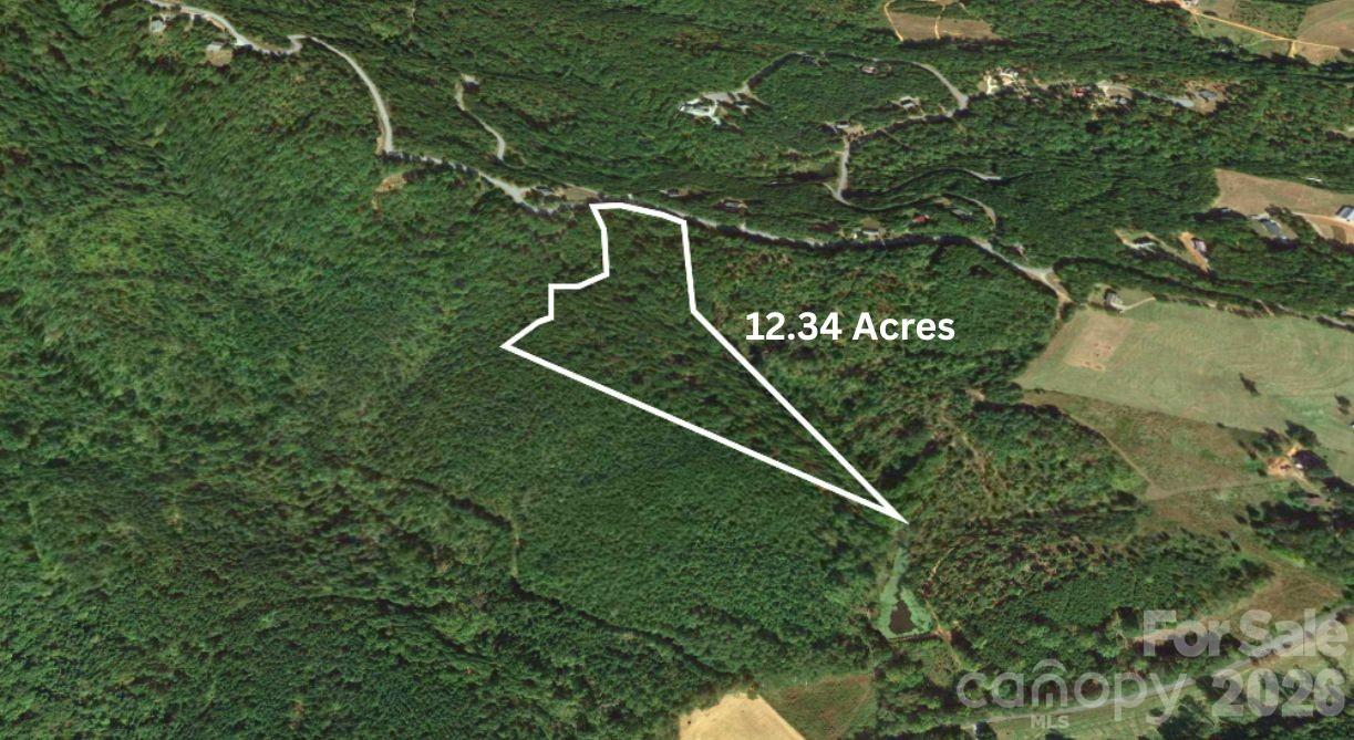 0 Arbra Mountain Road Bostic, NC 28018 - Photo 7 of 15