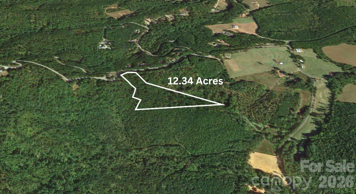 0 Arbra Mountain Road Bostic, NC 28018 - Photo 9 of 15