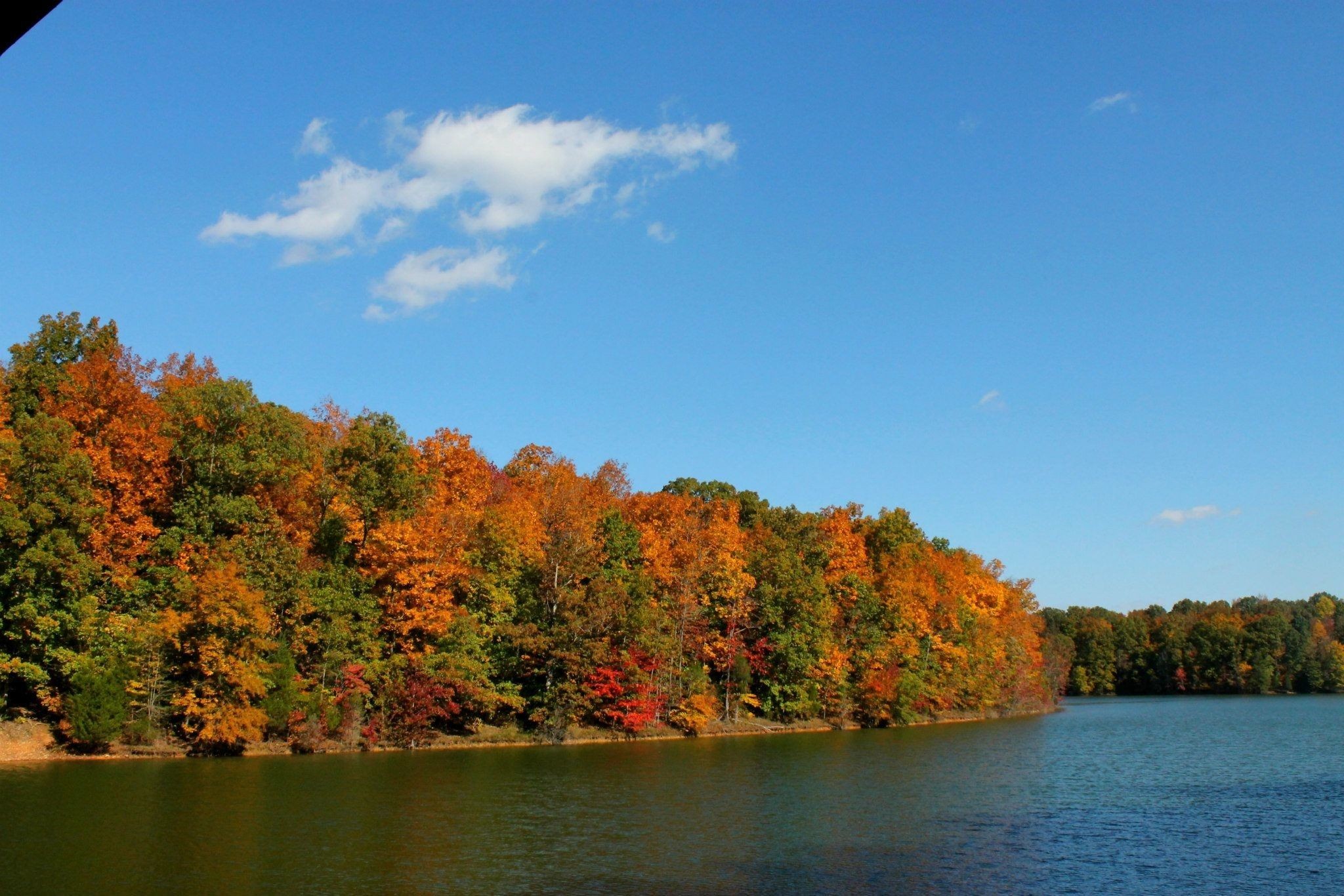 505 Evans Drive Tullahoma, TN 37388 - Photo 28 of 30