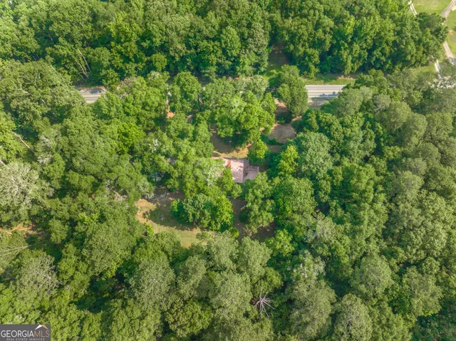 a close up of a lush green forest
