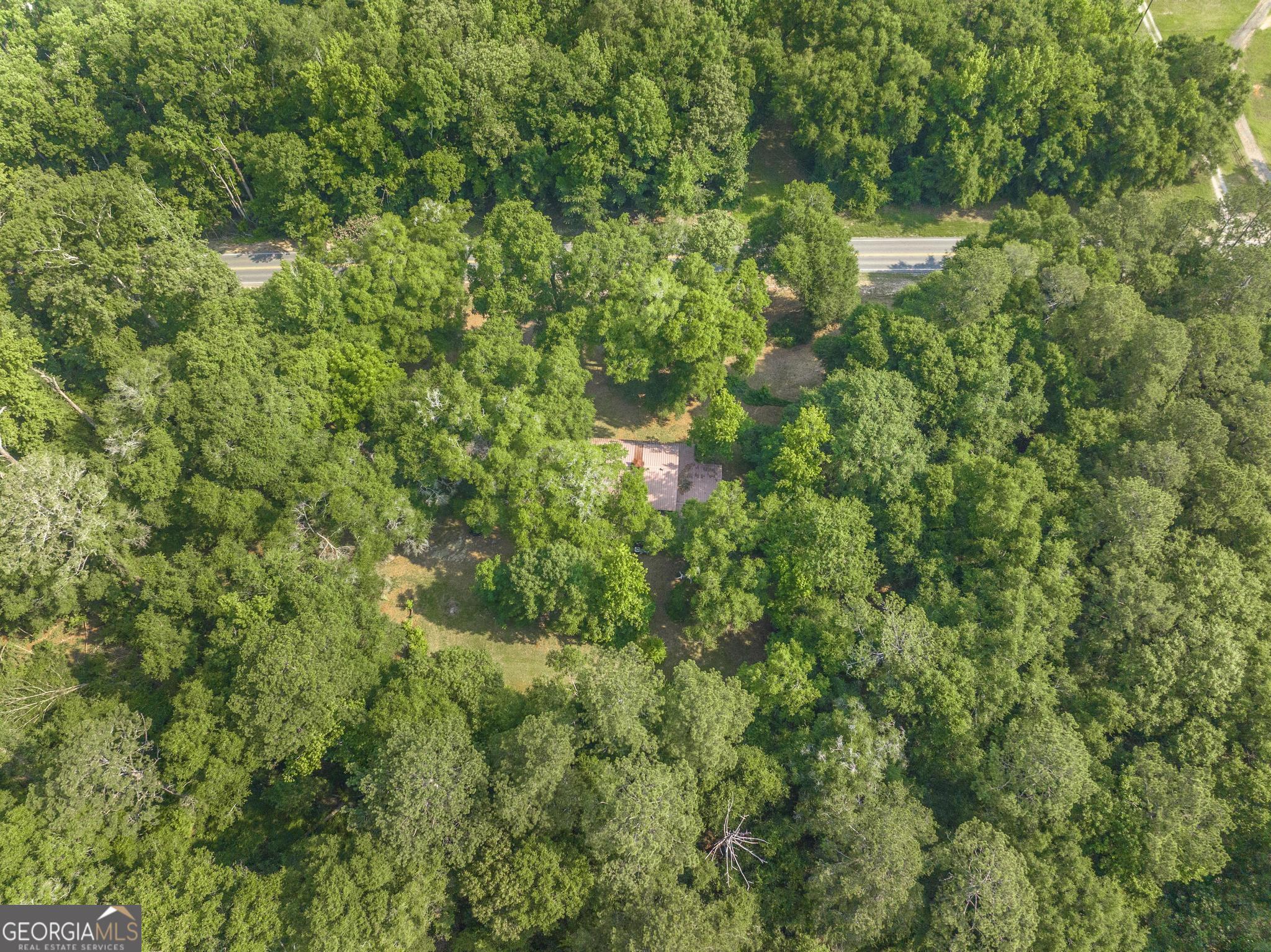 3222 Highway 80 Dublin, GA 31021 - Photo 46 of 49 a view of a forest