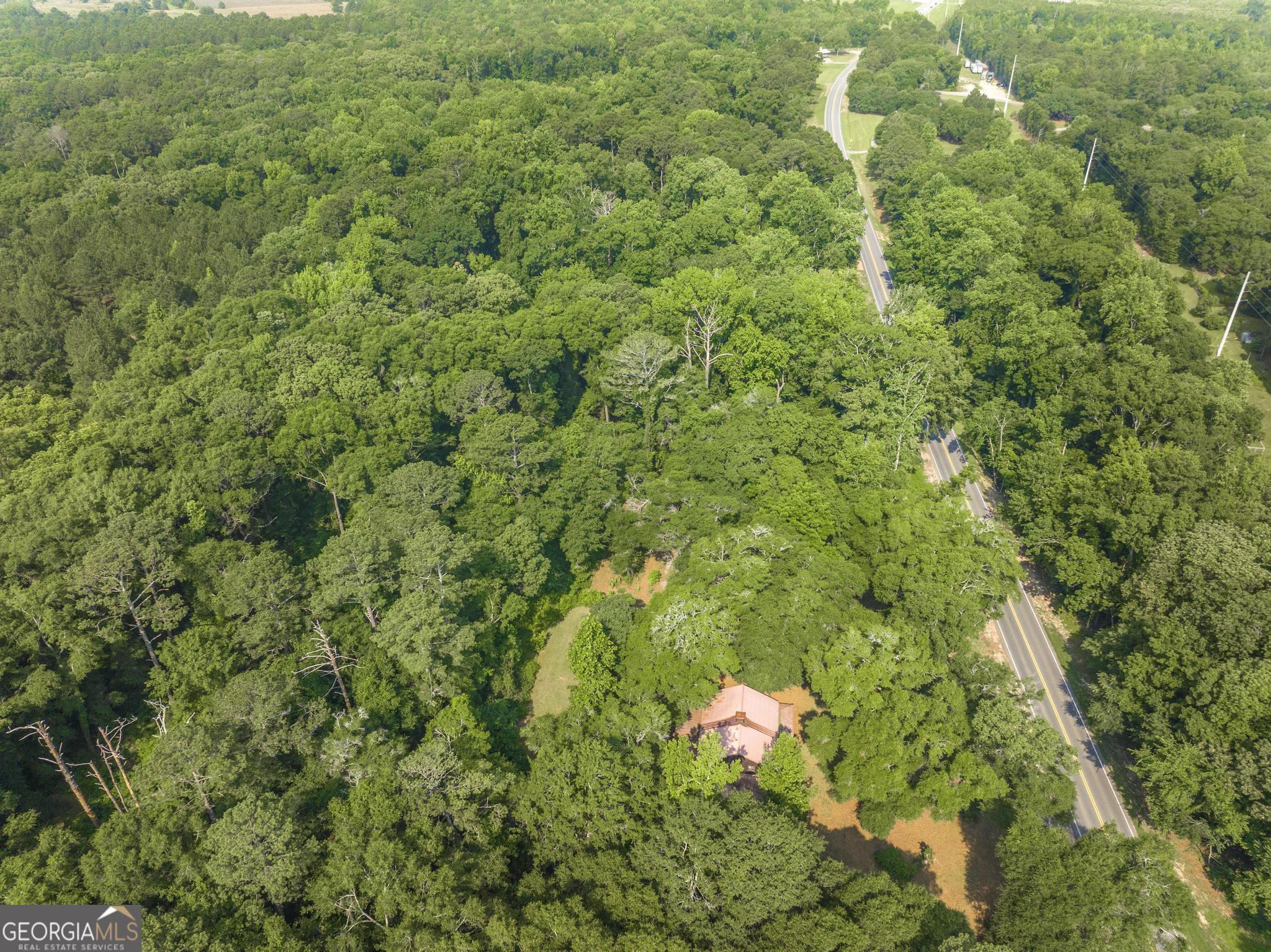 3222 Highway 80 Dublin, GA 31021 - Photo 47 of 49 a close up of a lush green forest