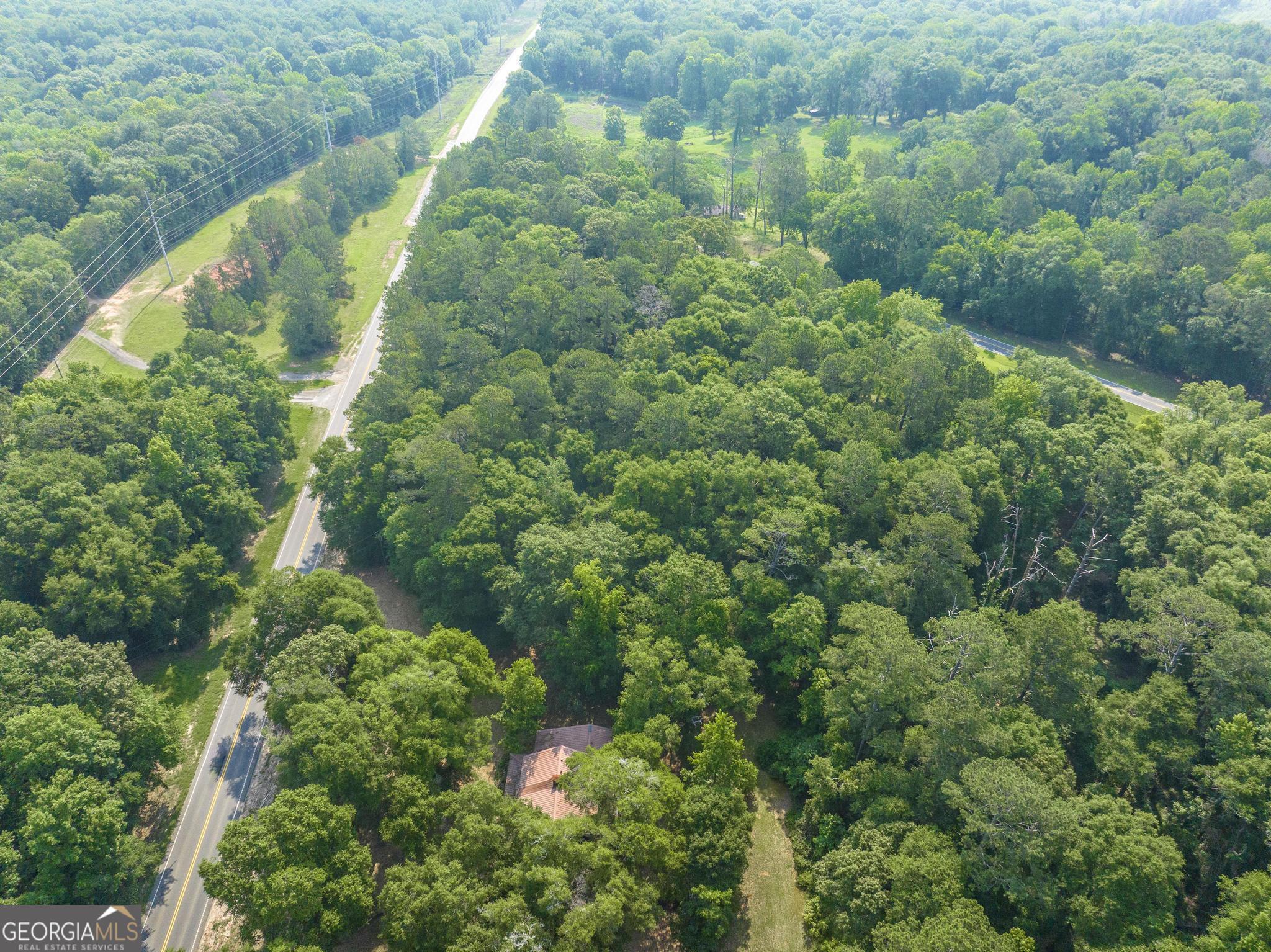 3222 Highway 80 Dublin, GA 31021 - Photo 48 of 49 an aerial view of residential houses with outdoor space and trees