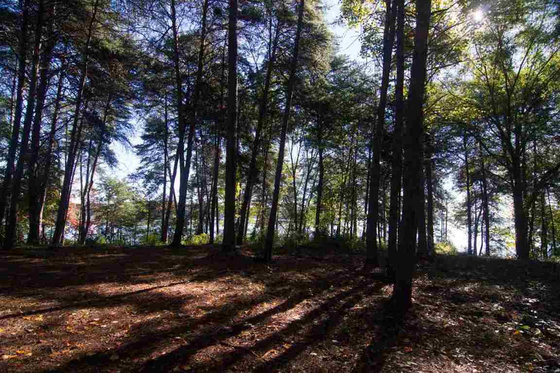 Lot 22 Laurel Ridge, Unit SAILVIEW DRIVE Seneca, SC 29678 - Photo 4 of 35 Gallery Image 4