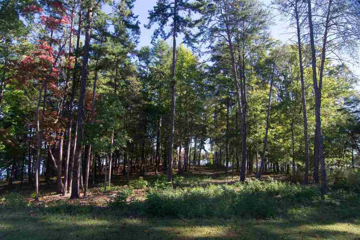 Lot 22 Laurel Ridge, Unit SAILVIEW DRIVE Seneca, SC 29678 - Photo 5 of 35 Gallery Image 5