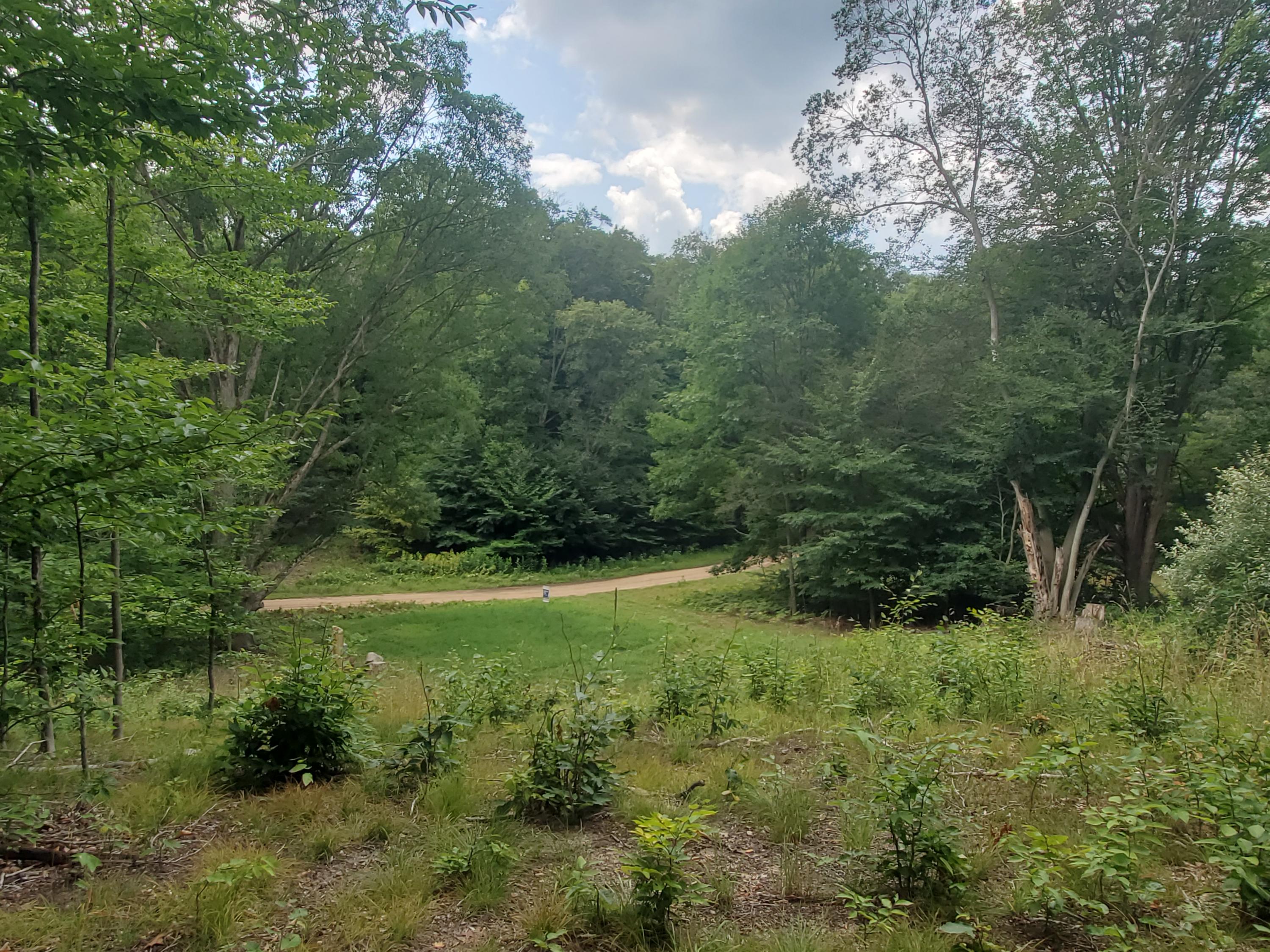 4642 Deer Cove Road Custer, MI 49405 - Photo 1 of 12 20210802_124701