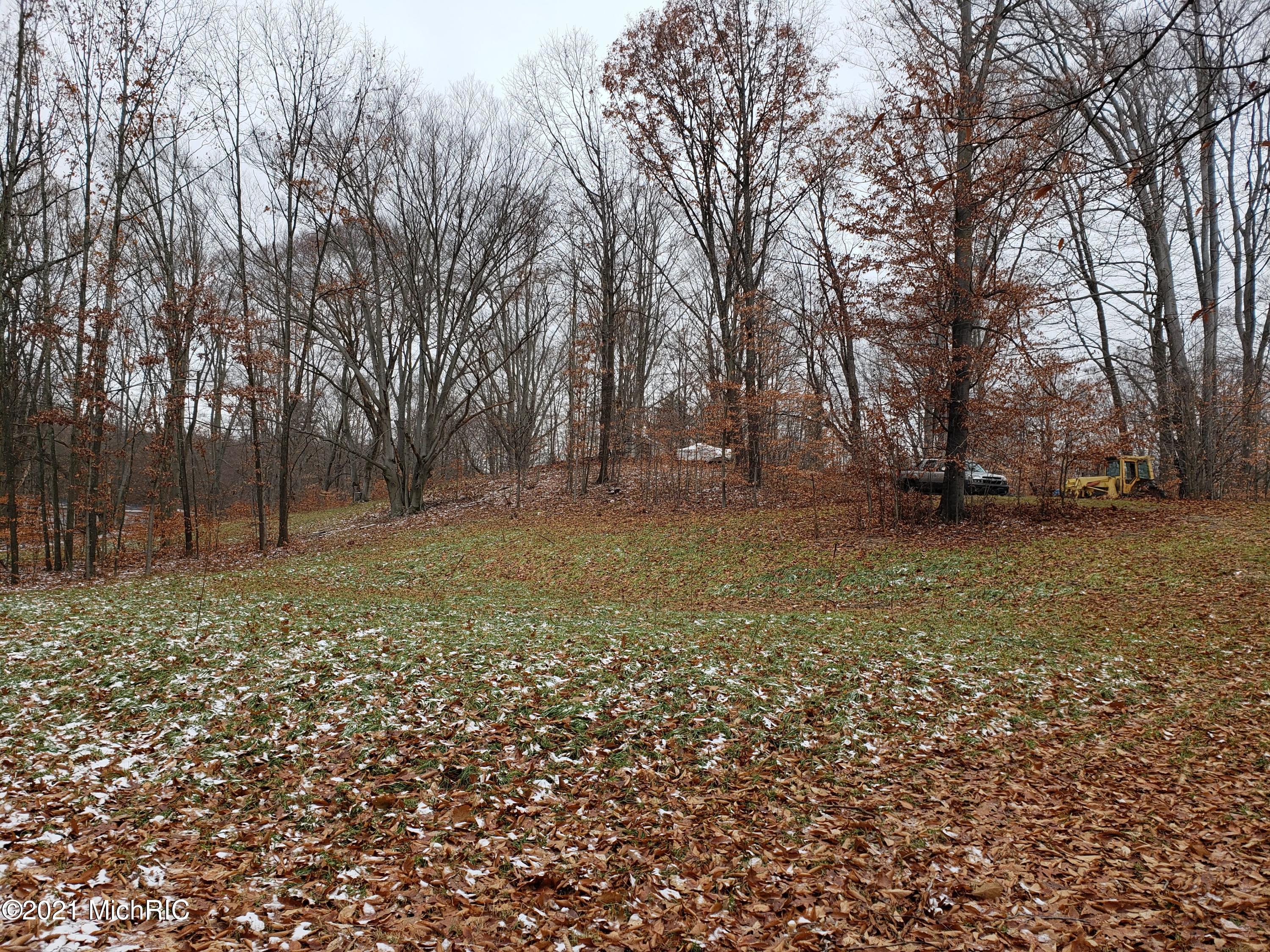 4642 Deer Cove Road Custer, MI 49405 - Photo 8 of 12 20181204_124716