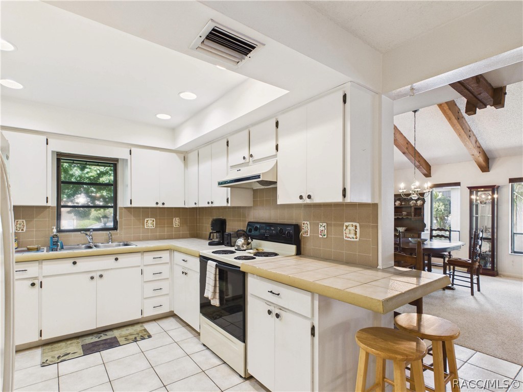 5 Pinewood Green Homosassa, FL 34446 - Photo 15 of 44 KITCHEN 1