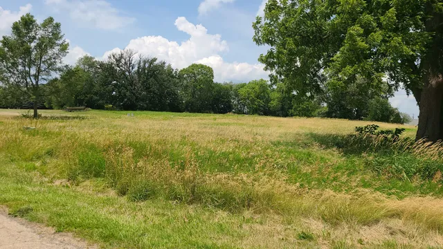 a view of outdoor space and yard