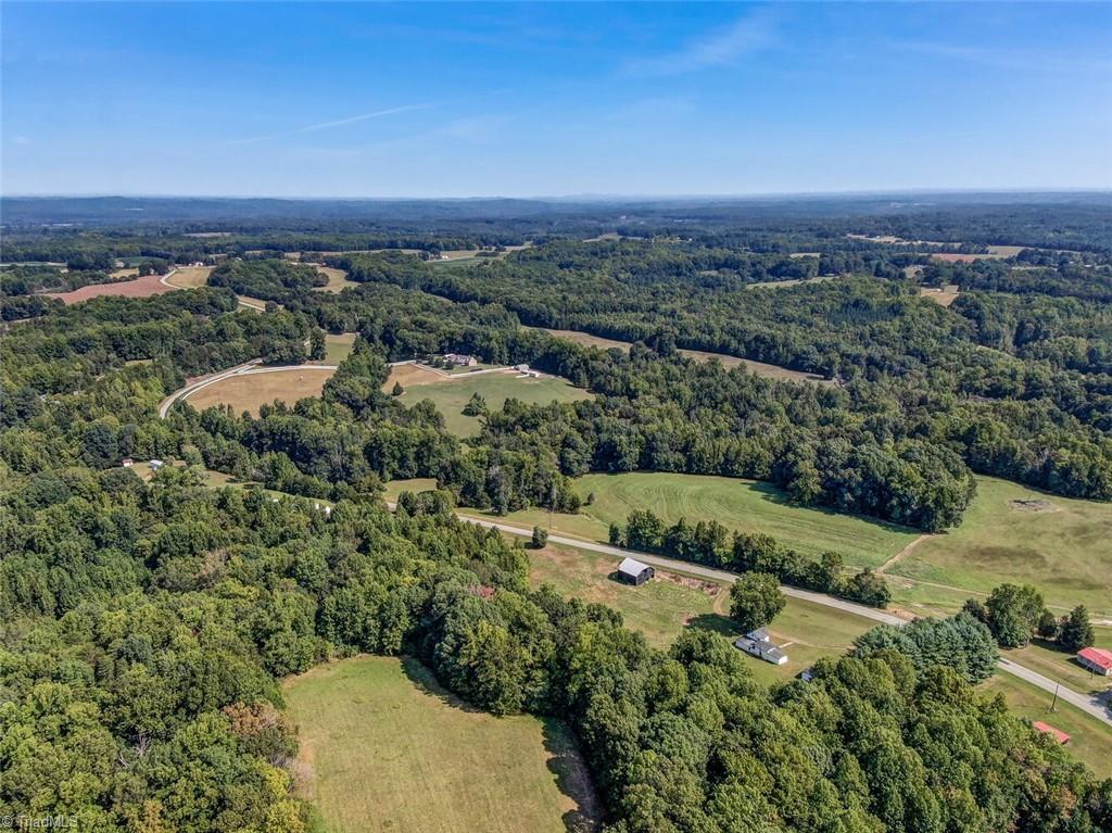 680 Lillard Road Ruffin, NC 27326 - Photo 4 of 8