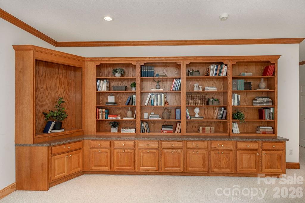 719 Deerlake Road Brevard, NC 28712 - Photo 32 of 40