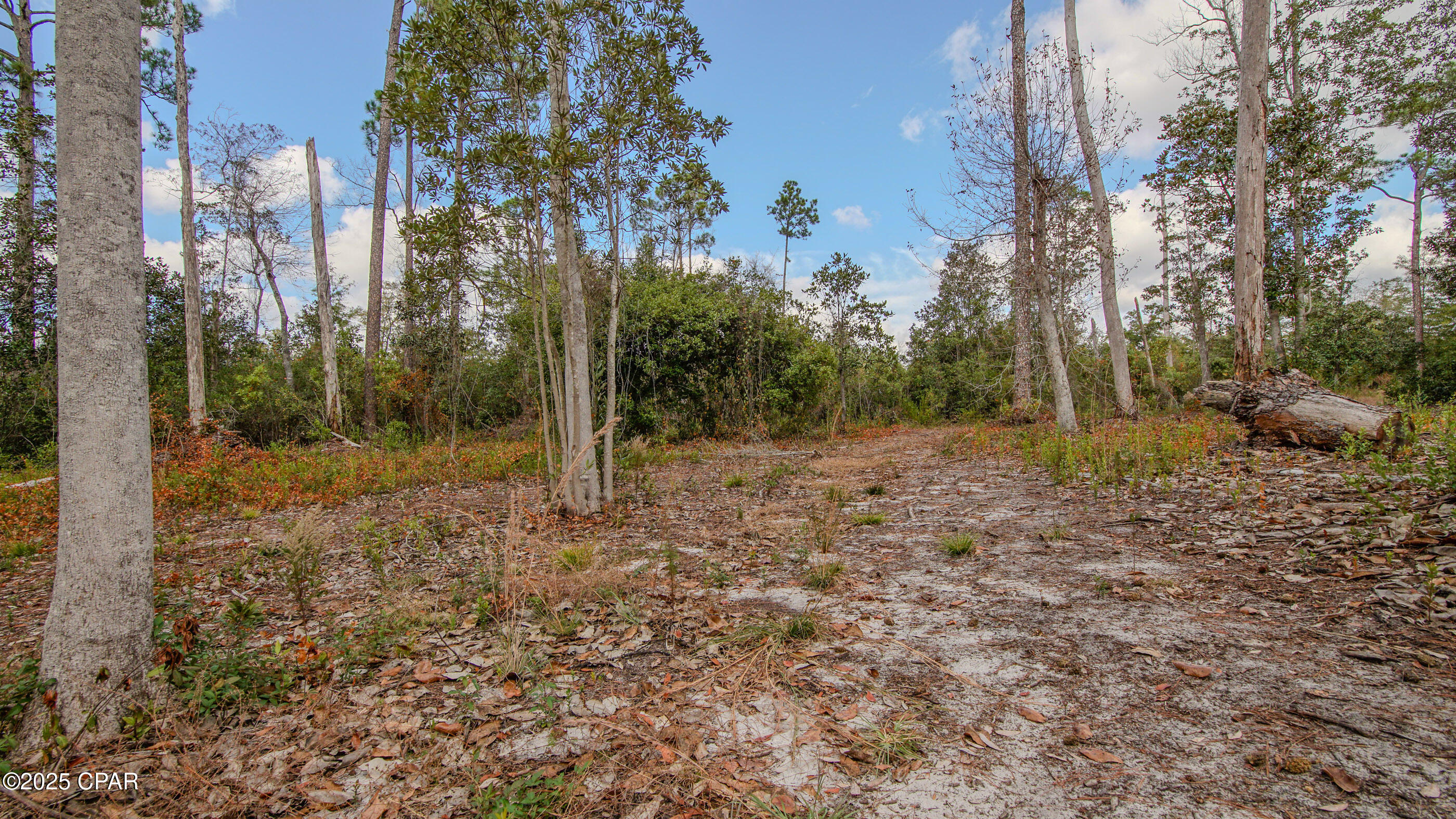 12299 Nona Wood Road Fountain, FL 32438 - Photo 10 of 21