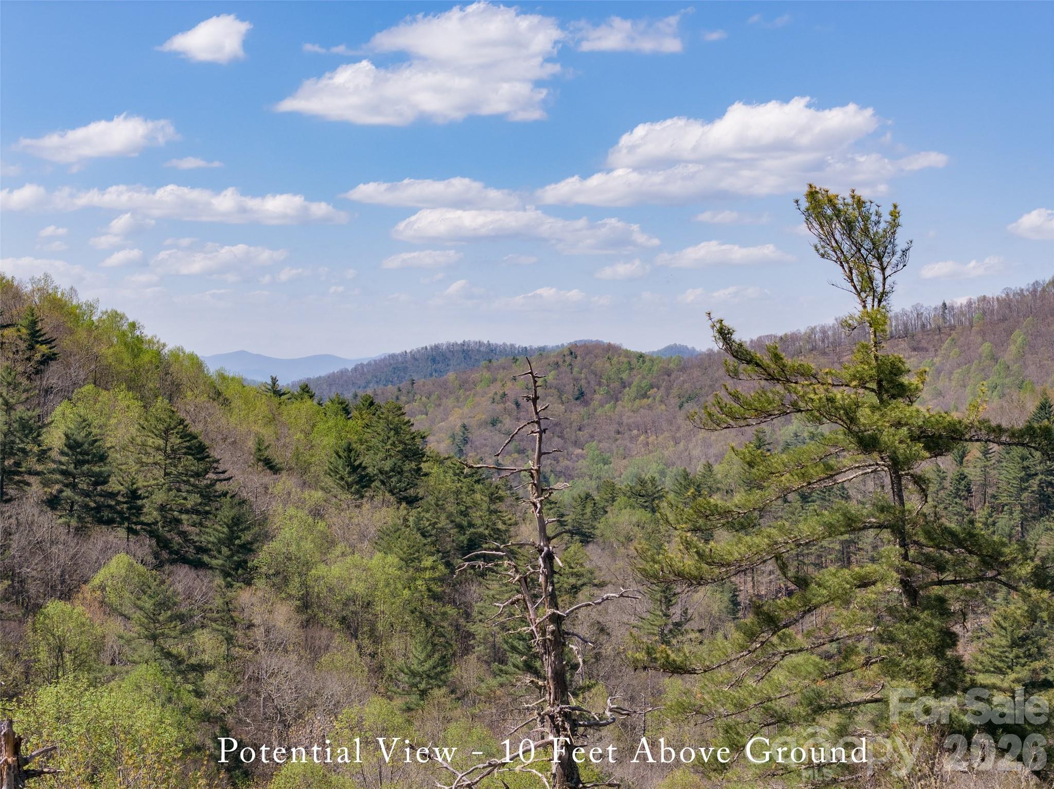 4419 Flat Mountain Road Highlands, NC 28741 - Photo 13 of 17