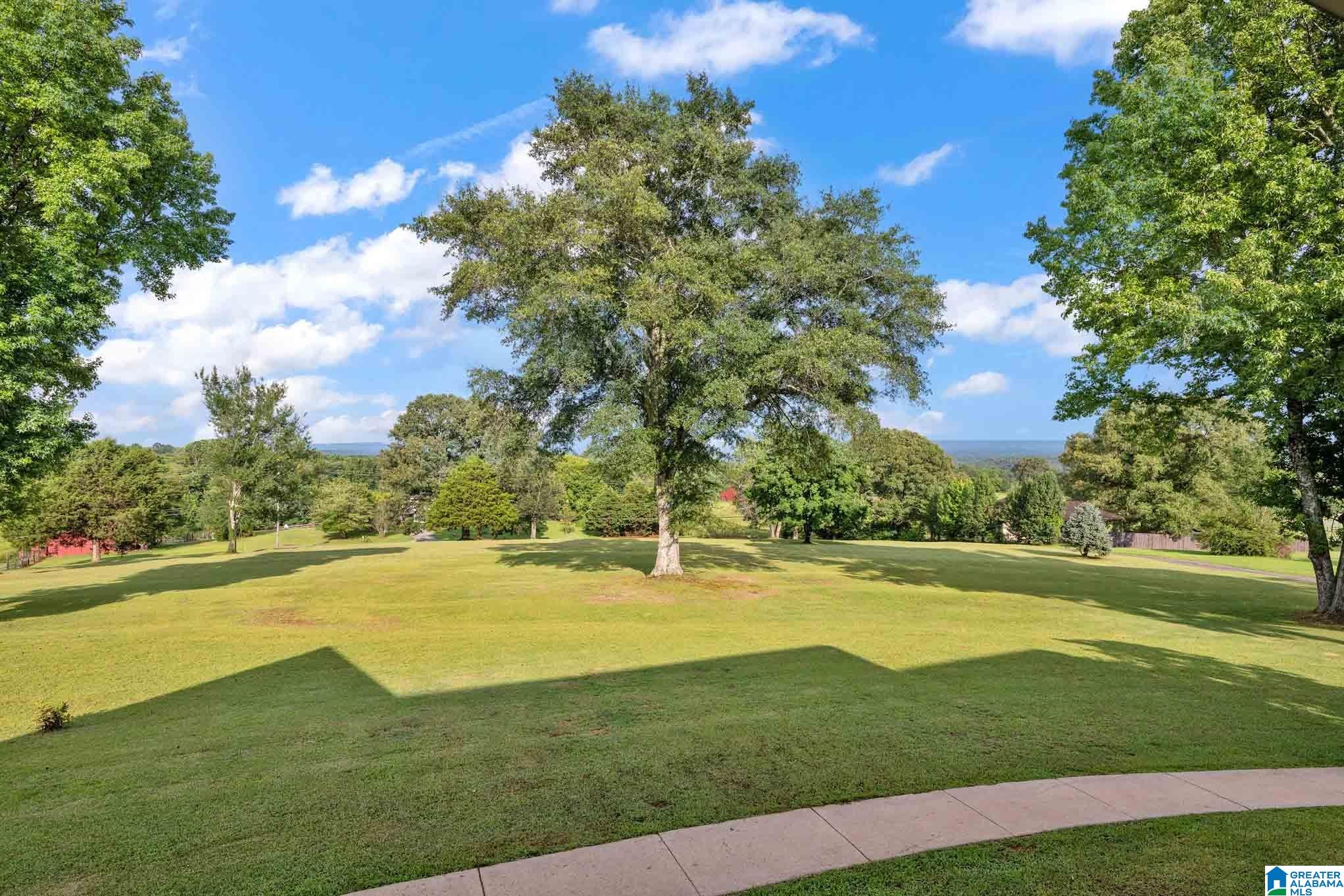 845 Cox Cove Road Hayden, AL 35079 - Photo 77 of 80