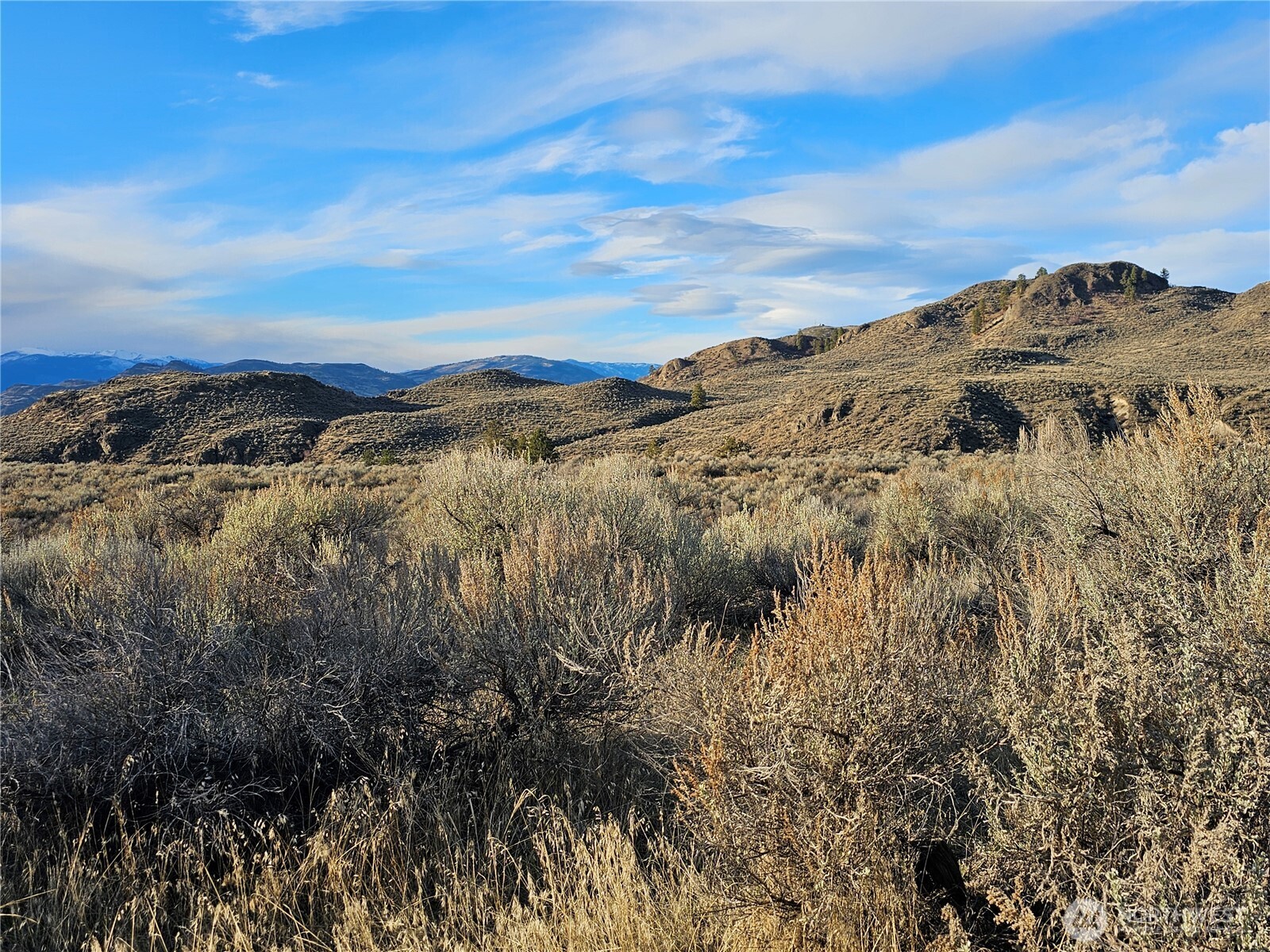 21 Pine Grove Road, Unit LOT 47 Oroville, WA 98844 - Photo 13 of 29 a view of a dry yard with mountains in the background