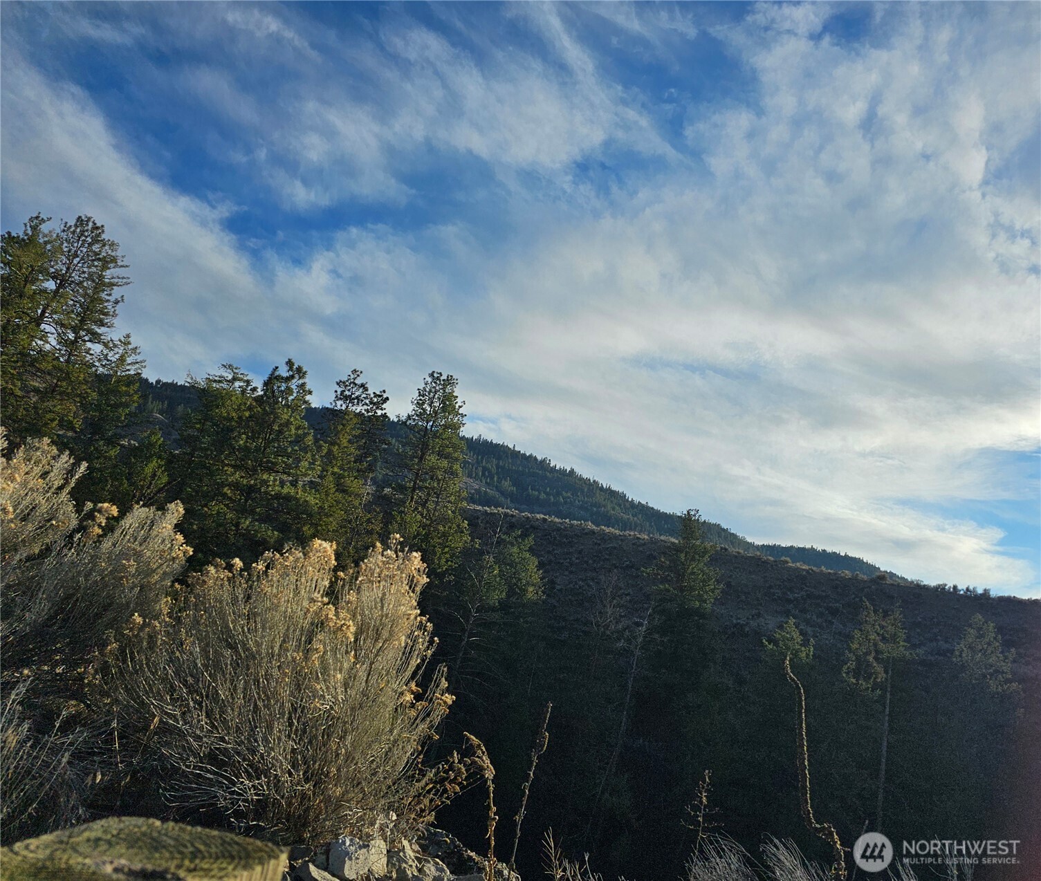 21 Pine Grove Road, Unit LOT 47 Oroville, WA 98844 - Photo 24 of 29 a view of a city with lush green forest