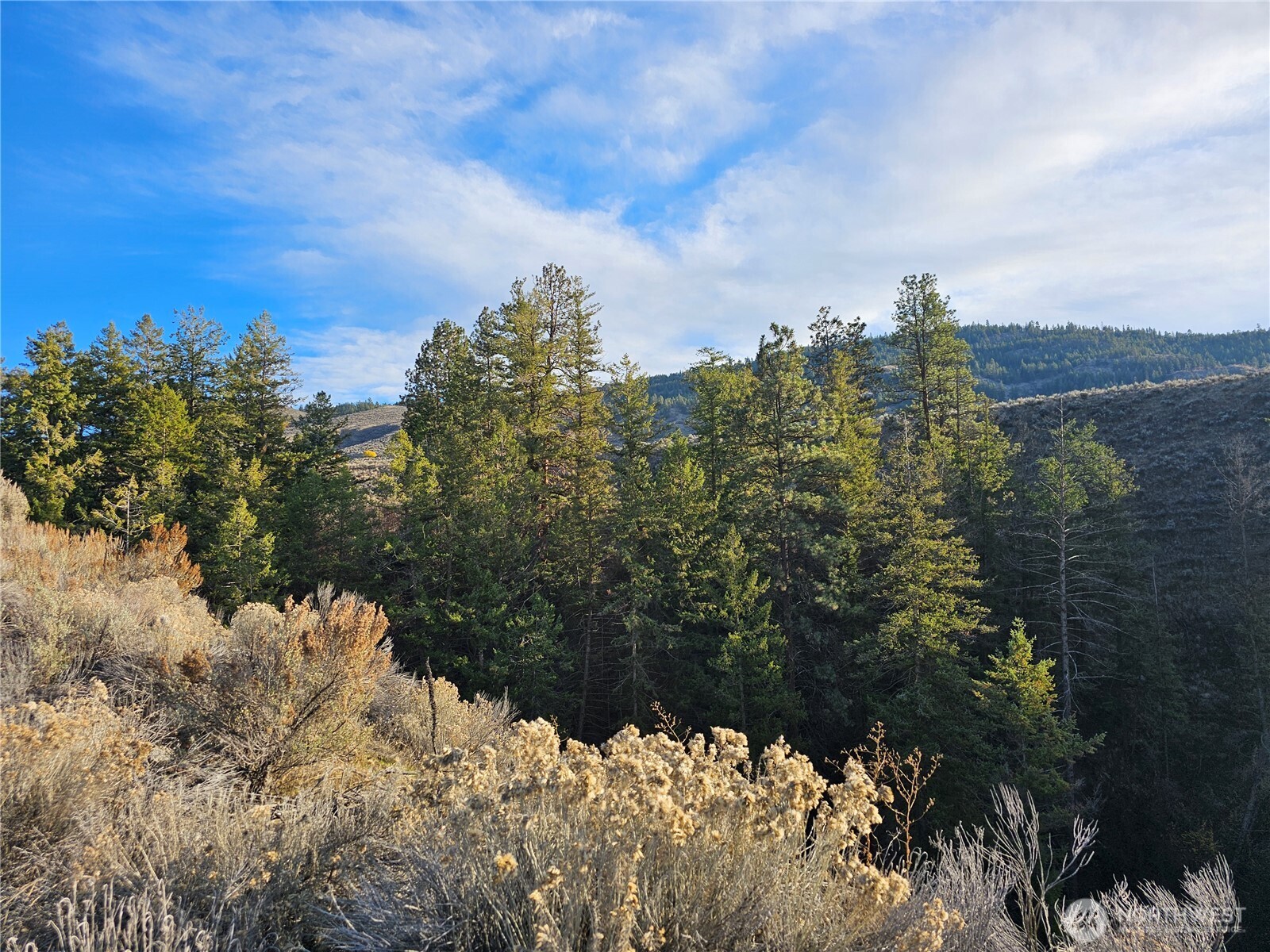 21 Pine Grove Road, Unit LOT 47 Oroville, WA 98844 - Photo 25 of 29 a view of a covered with snow in front of yard