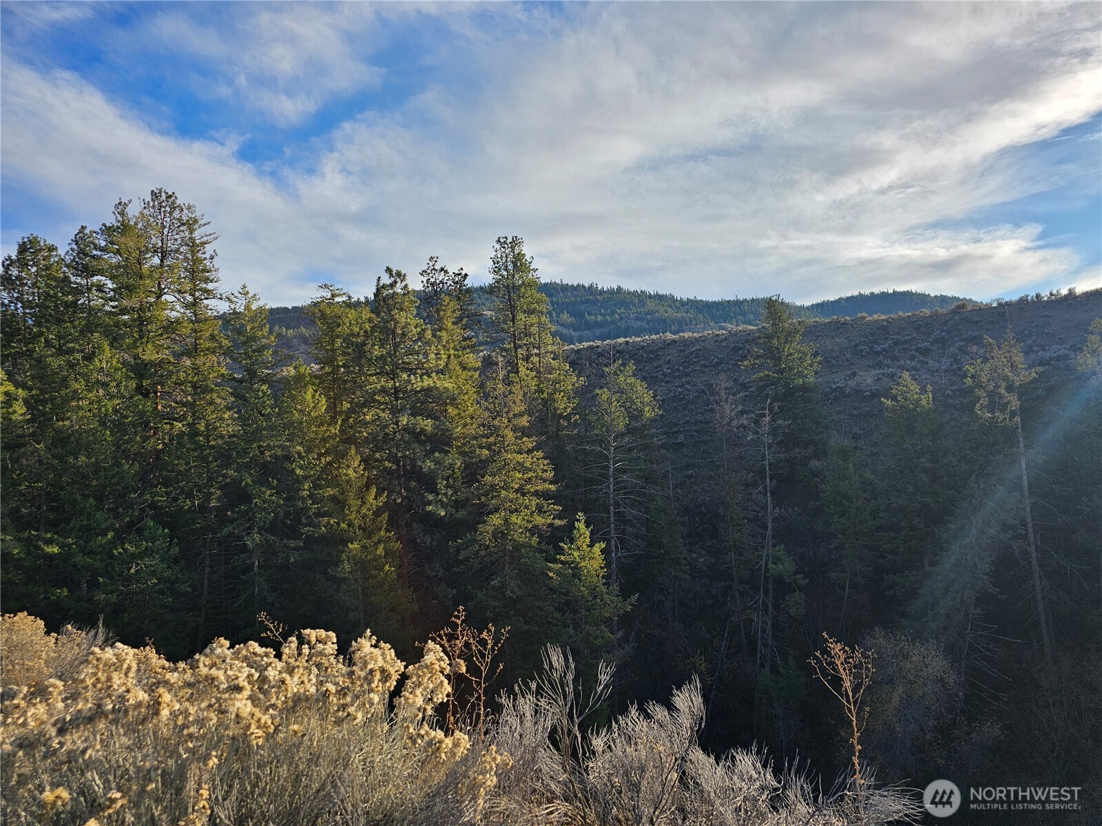 21 Pine Grove Road, Unit LOT 47 Oroville, WA 98844 - Photo 27 of 29 a view of a bunch of trees in front of house