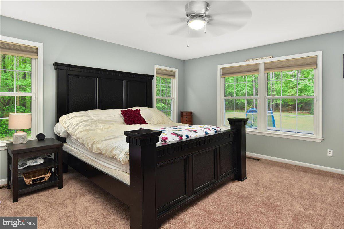 4425 Nassawango Road Snow Hill, MD 21863 - Photo 19 of 37