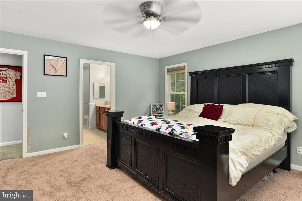 4425 Nassawango Road Snow Hill, MD 21863 - Photo 20 of 37