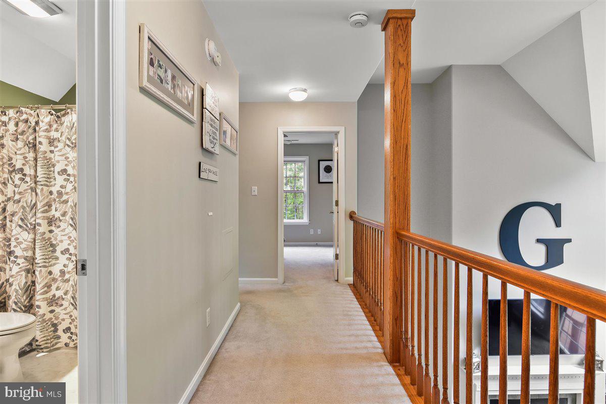 4425 Nassawango Road Snow Hill, MD 21863 - Photo 23 of 37