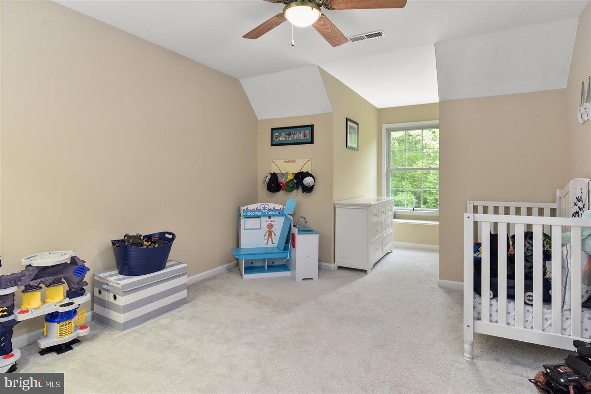 4425 Nassawango Road Snow Hill, MD 21863 - Photo 28 of 37