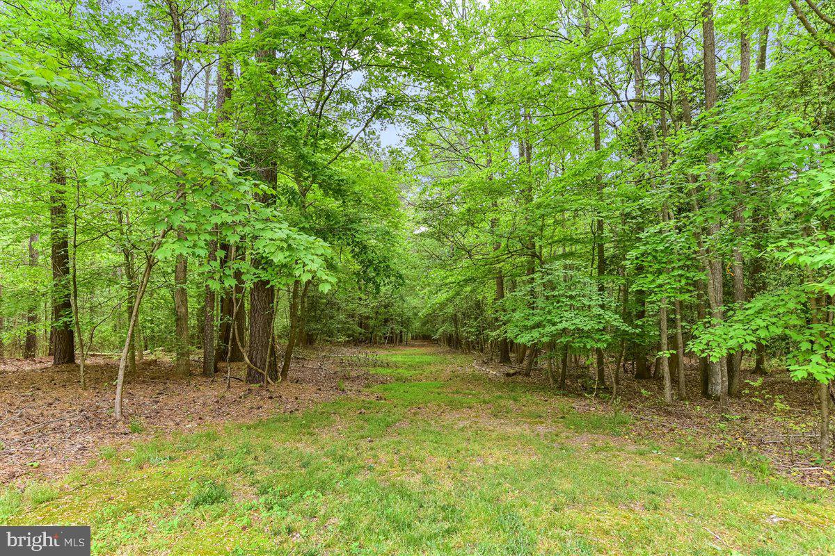4425 Nassawango Road Snow Hill, MD 21863 - Photo 33 of 37
