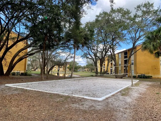a view of dirt yard with a large tree
