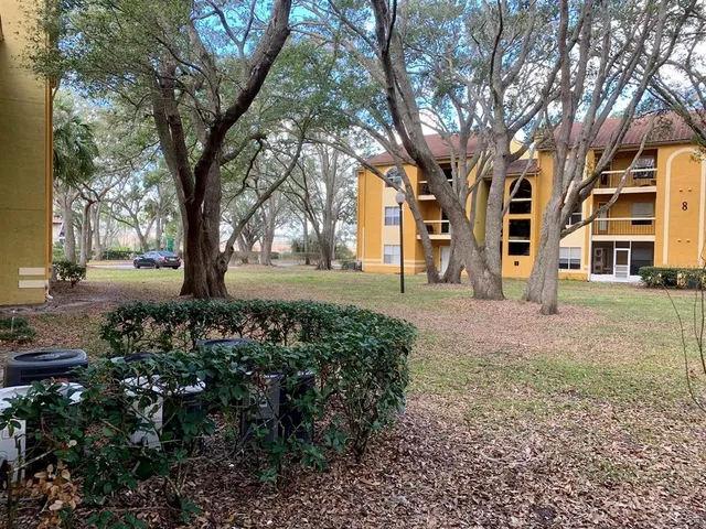 a view of a yard with a tree