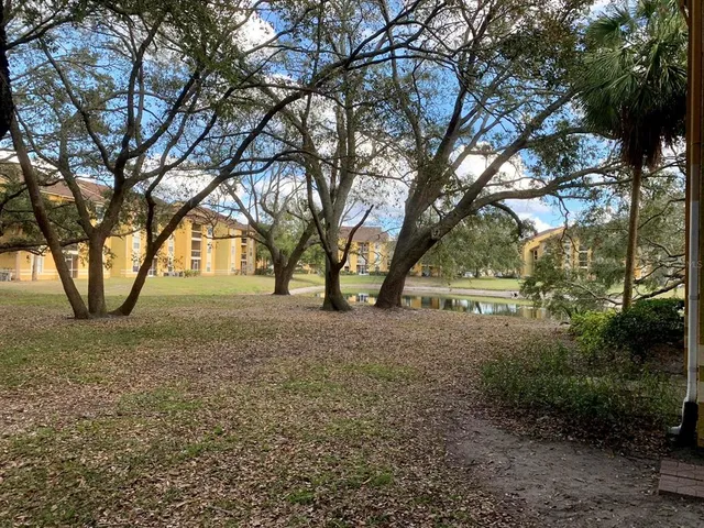 a view of large trees with yard