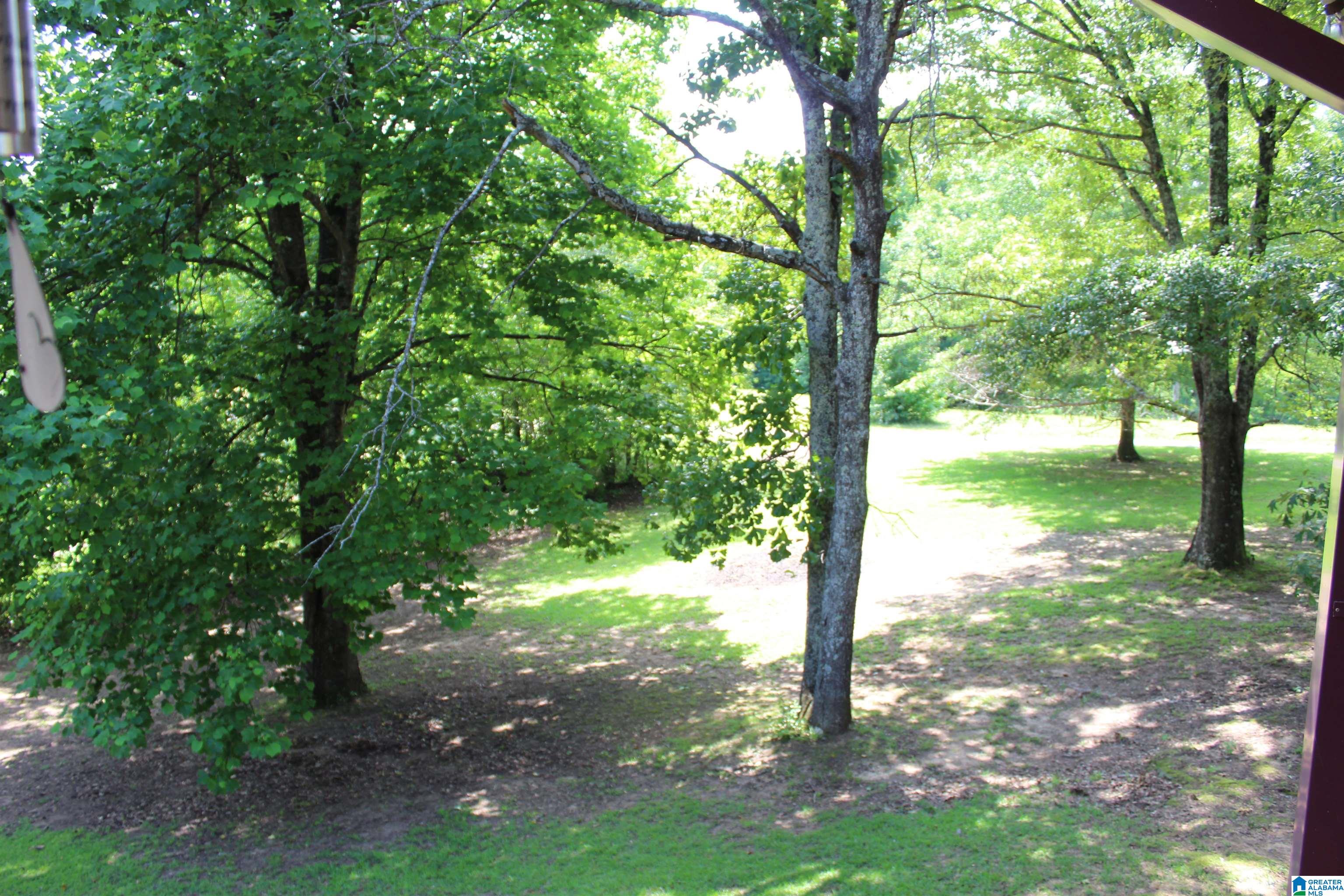 1530 Red Hill School Road Empire, AL 35063 - Photo 4 of 48