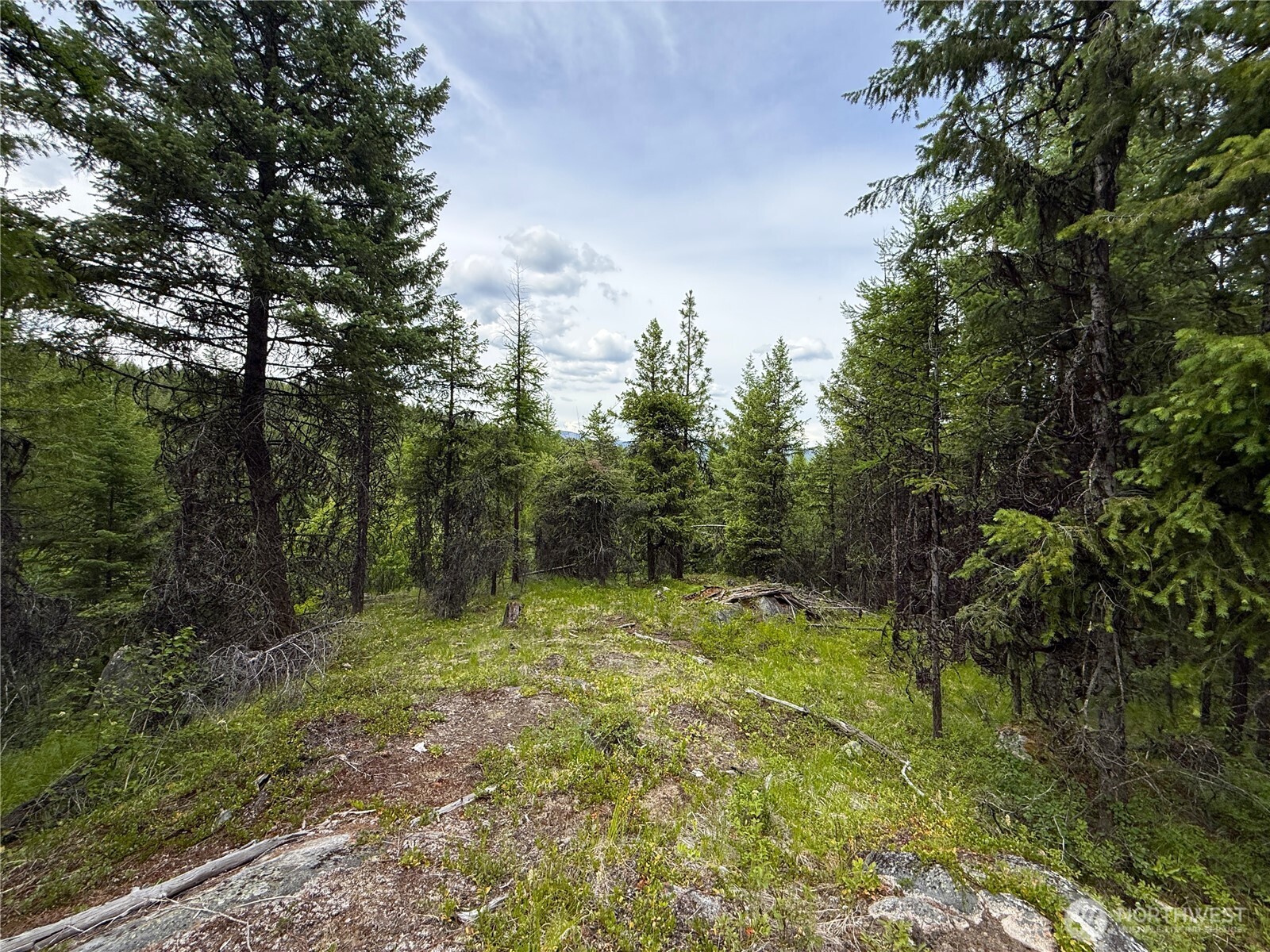 -tbd Mule Deer Road Republic, WA 99166 - Photo 5 of 11