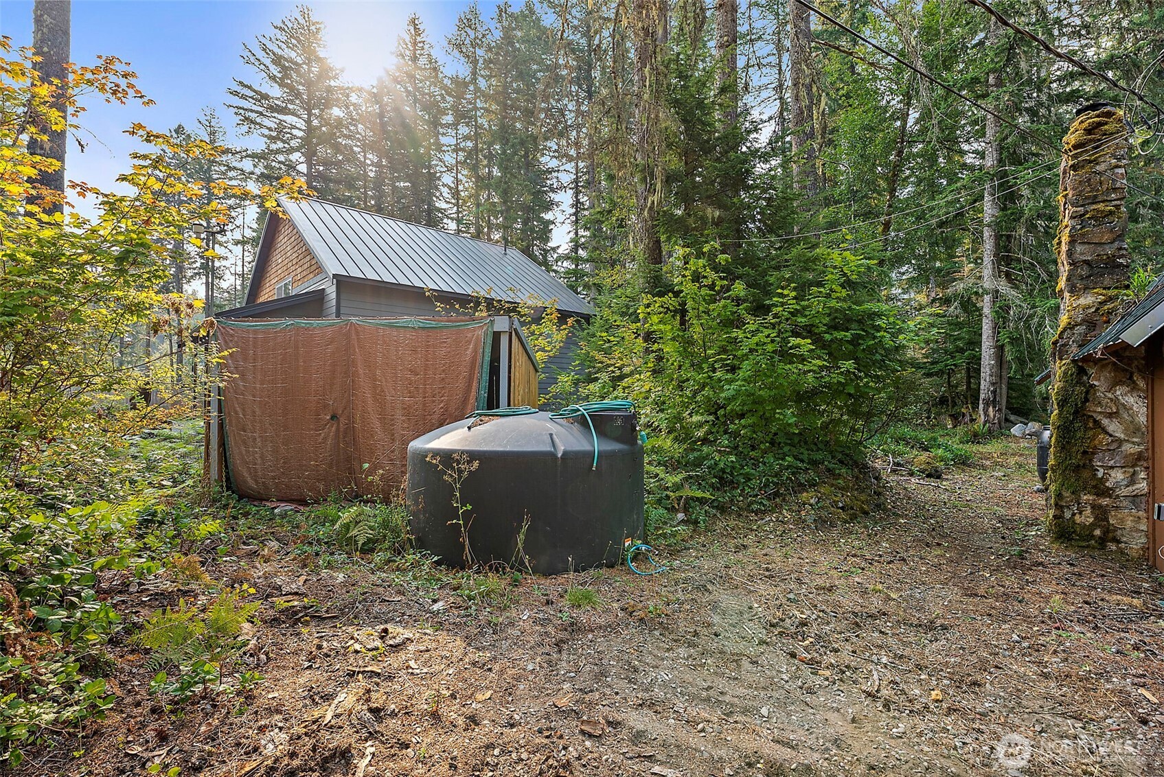 270 Skate Creek Road North Ashford, WA 98304 - Photo 27 of 36 a view of a backyard