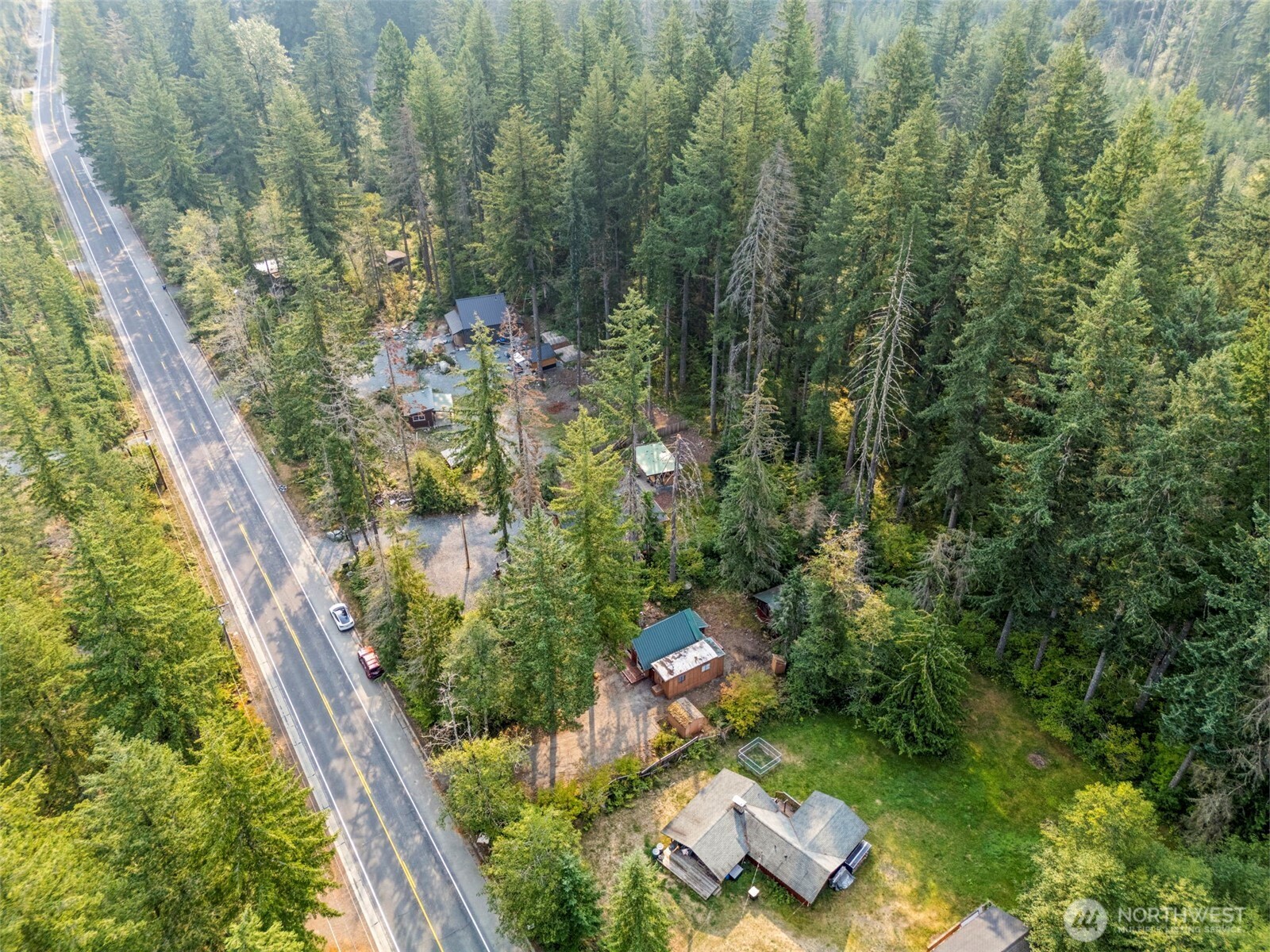 270 Skate Creek Road North Ashford, WA 98304 - Photo 31 of 36 a view of a yard with plants and a bench