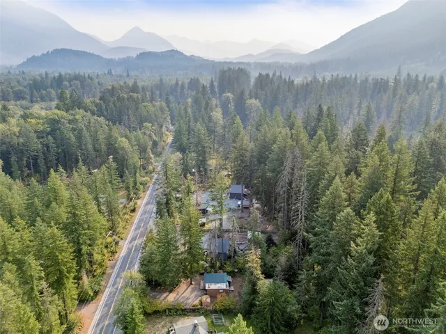 a view of a forest with a mountain
