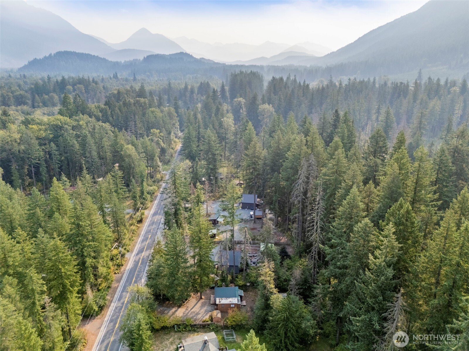 270 Skate Creek Road North Ashford, WA 98304 - Photo 32 of 36 a view of a forest with a mountain