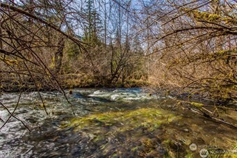 270 Skate Creek Road North Ashford, WA 98304 - Photo 36 of 36 a view of a yard with a tree