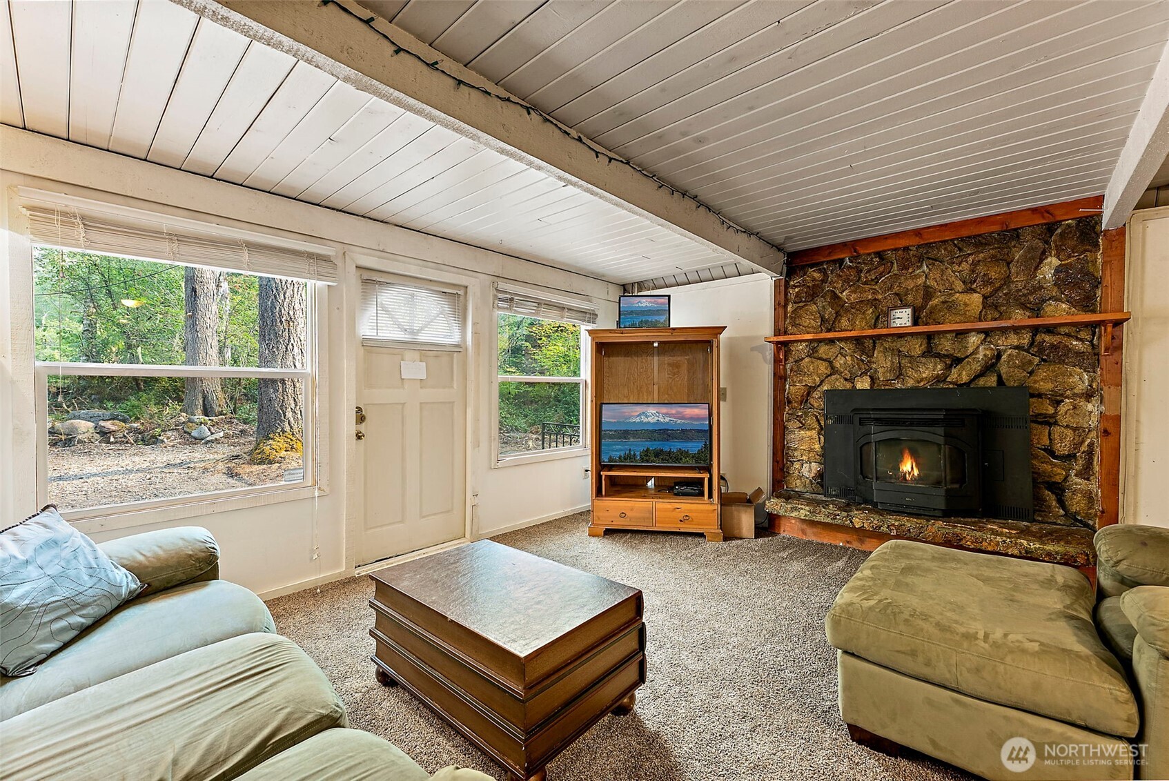 270 Skate Creek Road North Ashford, WA 98304 - Photo 5 of 36 a living room with furniture a fireplace and a floor to ceiling window