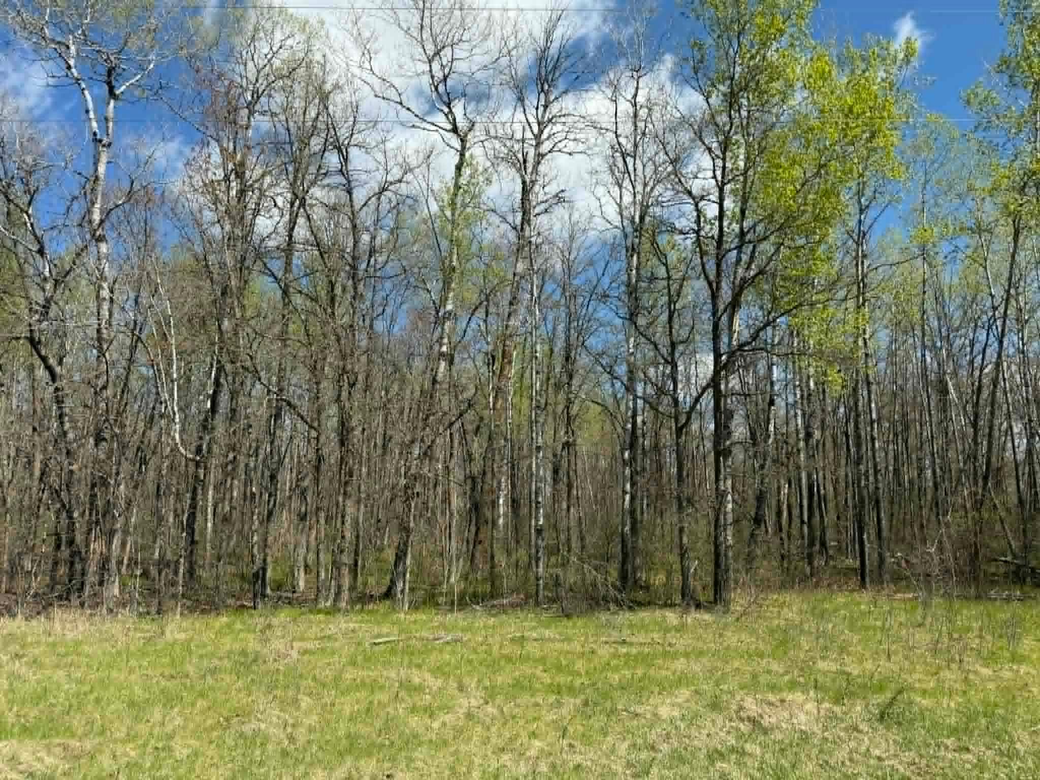 Tbd Lamon Road Northeast Bemidji, MN 56601 - Photo 8 of 8