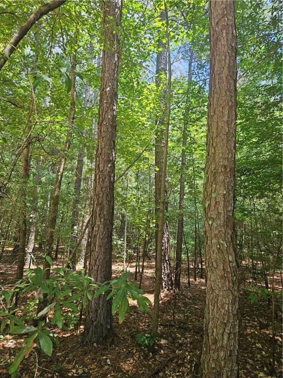 292 Mccannon Road Carlton, GA 30627 - Photo 9 of 21