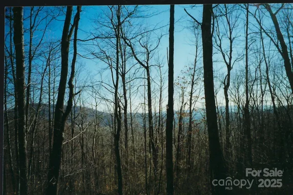 $13,900 | Lot #35 Damselfly Court, Spruce Pine, NC 28777
