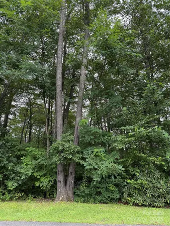 $13,900 | Lot #35 Damselfly Court, Spruce Pine, NC 28777