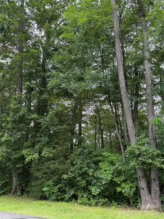 $13,900 | Lot #35 Damselfly Court, Spruce Pine, NC 28777