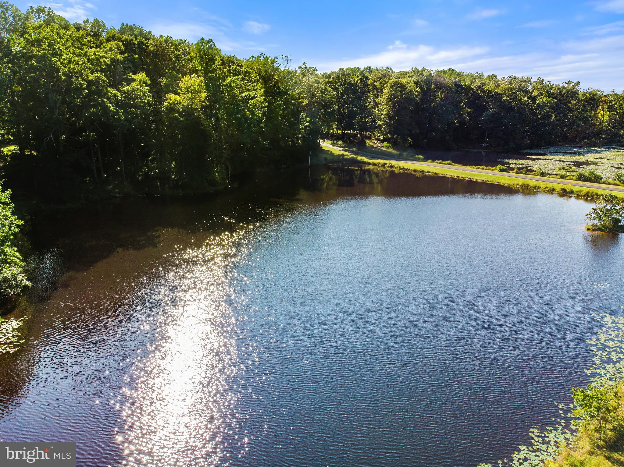 2199 Beaver Dam Road Midland, VA 22728 - Photo 2 of 74 Great Fishing!