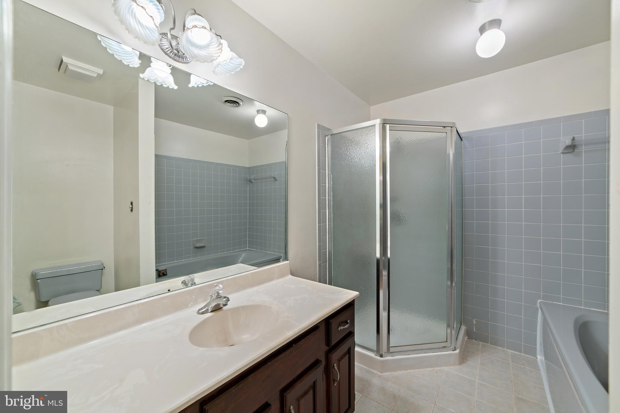 2199 Beaver Dam Road Midland, VA 22728 - Photo 42 of 74 Primary Bathroom with Shower & Tub