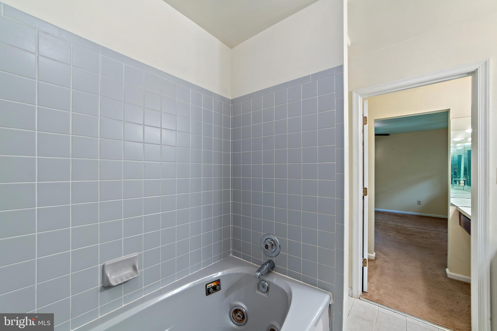 2199 Beaver Dam Road Midland, VA 22728 - Photo 43 of 74 Jetted Bathtum