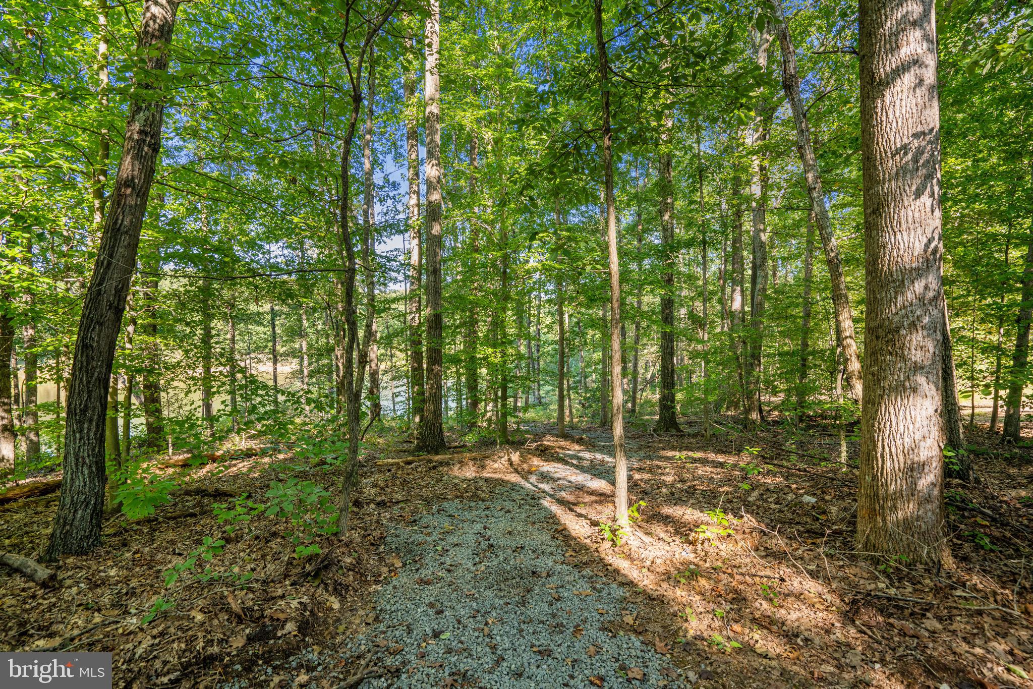 2199 Beaver Dam Road Midland, VA 22728 - Photo 60 of 74 Stroll down to the Lake!