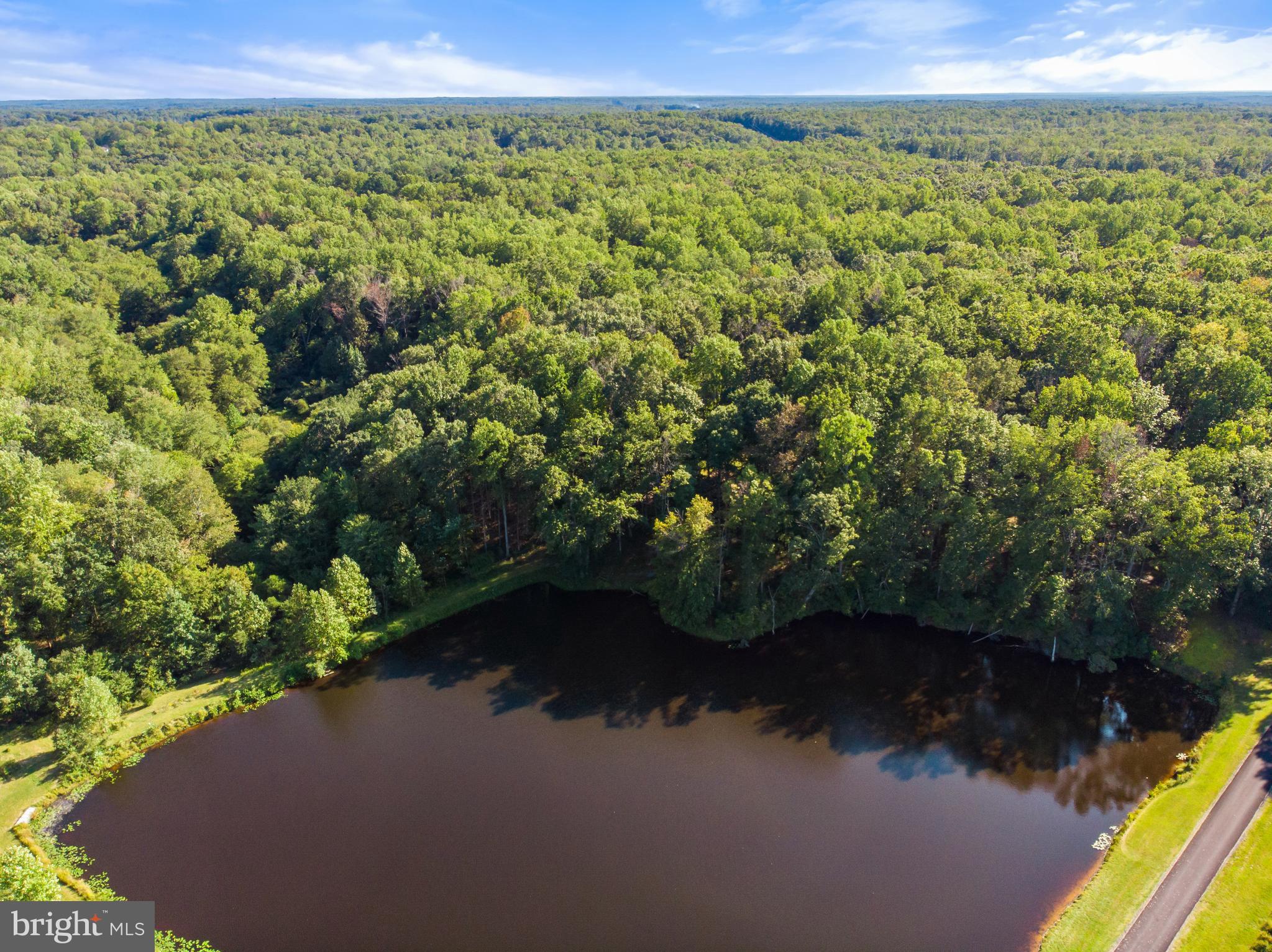 2199 Beaver Dam Road Midland, VA 22728 - Photo 62 of 74 Arial view of pond